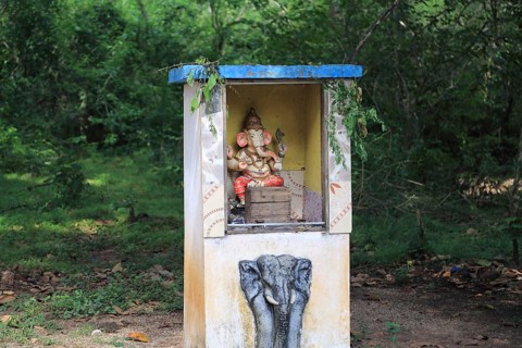 Roadside Hindu shrine near Sigiriya, Central Province, Sri Lanka, Asia