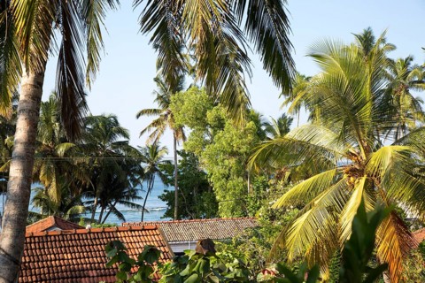 View over rooftops and palm trees to to blue ocean, Mirissa, Sri Lanka, Asia