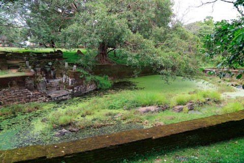 Royal Baths, Island Park, UNESCO World Heritage Site, the ancient city of Polonnaruwa, Sri Lanka,