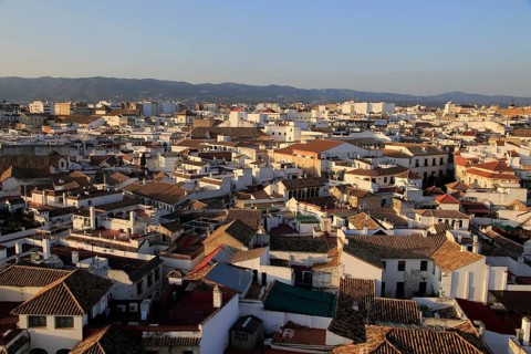 Oblique raised angle view of historic city centre buildings, Cordoba, Spain, Europe