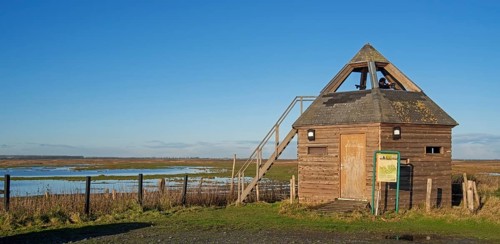 Bird hide at the nature reserve Verdronken Land van Saeftinghe, salt marsh of the Western Scheldt