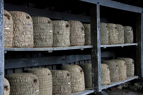 Bee hives, beehives, skeps in rustic shelter of apiary in the Lueneburg Heath, Lunenburg Heath,