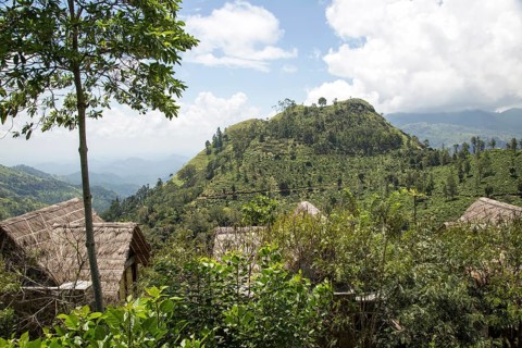 98 Acres resort luxury lodges, Ella, Badulla District, Uva Province, Sri Lanka, Asia view to Little
