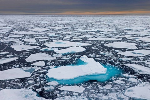 Sea ice, drift ice, ice floes floating in the Arctic Ocean at sunset, Nordaustlandet, North East