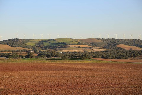 Farming landscape with wind turbines in distance, Vejer de la Frontera, Cadiz province, Spain,