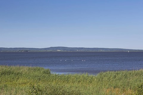 Steinhuder Meer, Lake Steinhude in the Hannoversche Moorgeest, Hanoverian Moor Geest in summer,