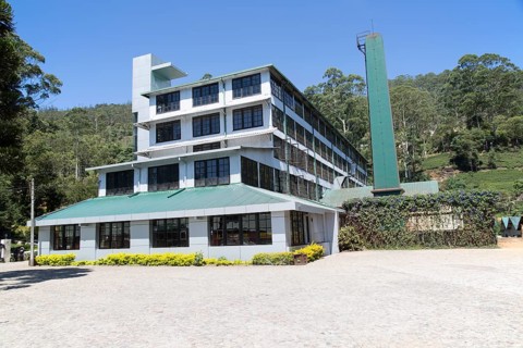 Mackwoods tea estate factory, Nuwara Eliya, Central Province, Sri Lanka, Asia