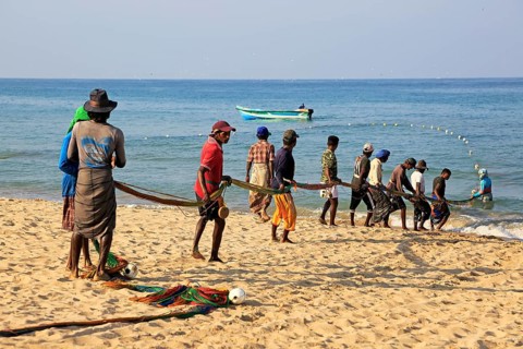 Traditional fishing hauling nets Nilavelli beach, near Trincomalee, Eastern province, Sri Lanka,