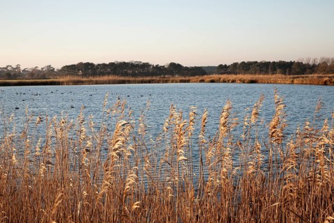 Reservoir water storage used to irrigate farmland, Bawdsey, Suffolk