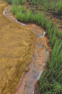 Paint Pots, iron-rich cold mineral springs in the Kootenay National Park, British Columbia, Canada,