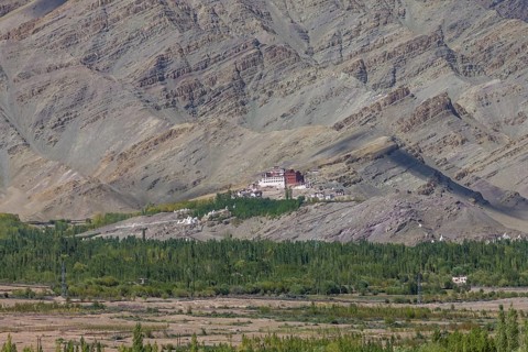 Matho Gompa, the Buddhist monastery of Central Ladakh, seen in mid-September, from the Thikse