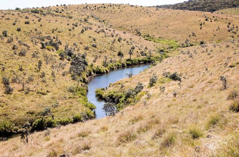 Meandering small Belihul Oya river in V shaped valley Horton Plains national park, Sri Lanka, Asia