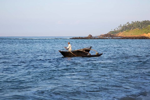 Fishing using traditional outrigger canoes, Mirissa, Sri Lanka, Asia