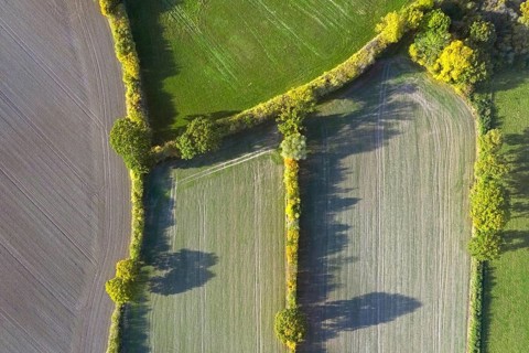 Aerial view over countryside showing bocage landscape with fields, meadows and pastures, patchwork