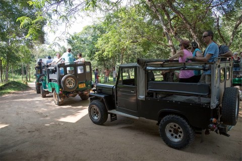 Elephant safari in Hurulu Eco Park biosphere reserve, Habarana, Anuradhapura District, Sri Lanka,