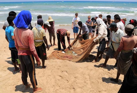 Traditional fishing hauling nets Nilavelli beach, near Trincomalee, Eastern province, Sri Lanka,
