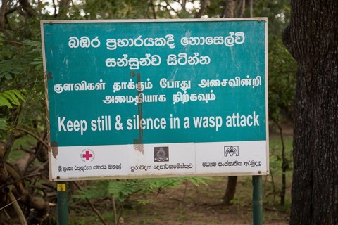 Warning sign about wasp attack, Sigiriya, Central Province, Sri Lanka, Asia