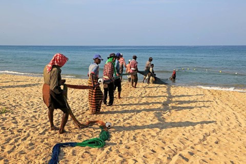 Traditional fishing hauling nets Nilavelli beach, near Trincomalee, Eastern province, Sri Lanka,