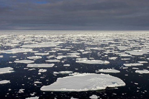 Sea ice, drift ice, ice floes floating in the Arctic Ocean at sunset, Nordaustlandet, North East