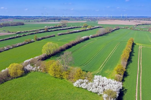 Aerial view over bocage landscape with fields and pastures shielded by blooming hedges and