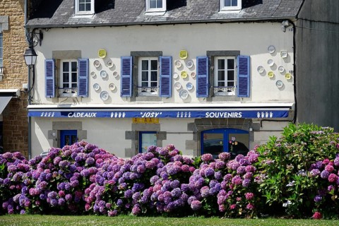 Souvenir shop behind hydrangeas at the enclosed parish of Enclos Paroissial de Pleyben from the