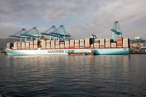 APM Terminals container ship port at Algeciras, Cadiz Province, Spain, Europe