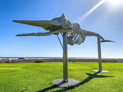 Sunbeam meets shines on stilts on public ground meadow in front of beach Matorral in Morro Jable on
