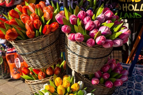 Souvenir wooden tulip flowers on sale outside a tourist shop, Rotterdam, Netherlands