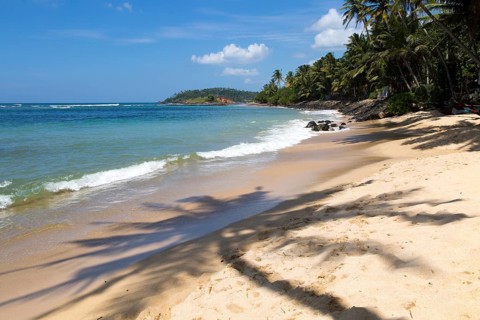 Tropical landscape of palm trees and sandy beach, Mirissa, Sri Lanka, Asia shadow of palm tree,