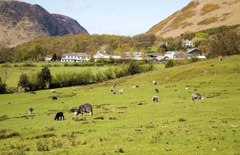 Fields around the village of Buttermere, Lake District national park, Cumbria, England, UK
