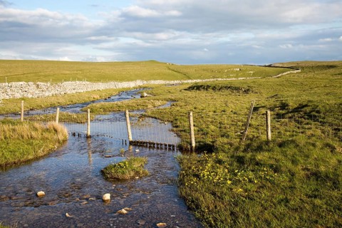 Stream flowing over limestone rock, Malham, Yorkshire Dales national park, England, UK