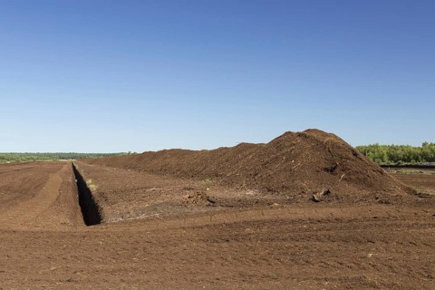 Peat extraction at Totes Moor, Tote Moor, raised bog near Neustadt am Ruebenberge, district of