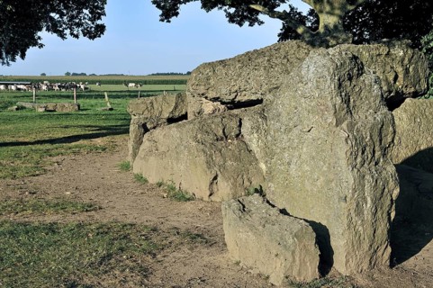 Megalithic Grand Dolmen de Weris made of conglomerate rock, Belgian Ardennes, Luxembourg, Belgium,