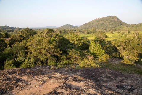 Landscape overview Hurulu Eco Park biosphere reserve, Habarana, Anuradhapura District, Sri Lanka,