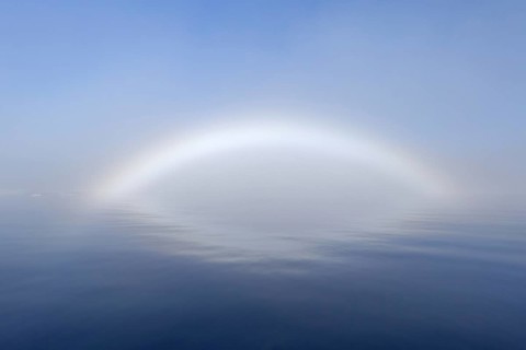 Fogbow, fog bow, white rainbow, sea-dog over the Arctic Sea at Svalbard, Norway, Europe