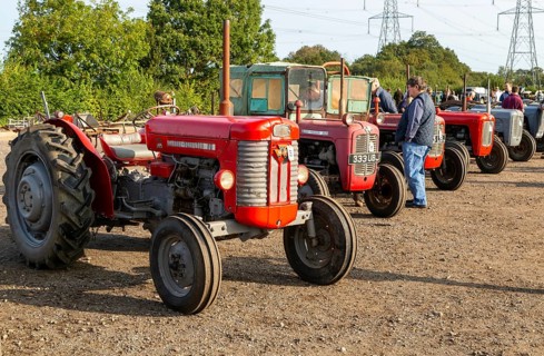 Vintage Massey Ferguson tractors at auction sale of vintage farming equipment, Campsea Ashe,