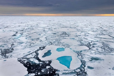 Sea ice, drift ice, ice floes floating in the Arctic Ocean at sunset, Nordaustlandet, North East