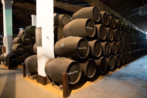 Oak barrels of maturing sherry wine in cellar, Gonzalez Byass bodega, Jerez de la Frontera, Cadiz