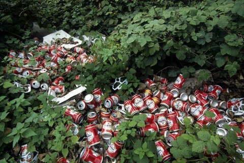 Illegal dump with discarded beer cans littering bushes