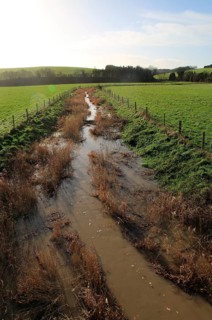 River Kennet flowing across fields towards Swallowhead Springs, West Kennet, Wiltshire, England, UK