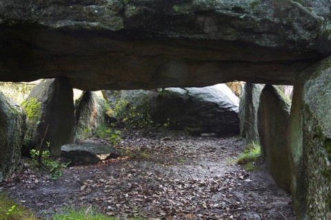 Seven Stone Houses, Sieben Steinhaeuser, dolmens from the neolithic funnelbeaker period at Bergen,