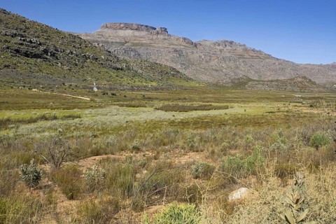 Cederberg mountains near Clanwilliam, Western Cape Province, South Africa, Africa
