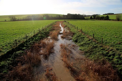 River Kennet flowing across fields towards Swallowhead Springs, West Kennet, Wiltshire, England, UK