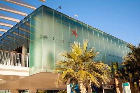 Museo Alborania aula del mar, Sealife museum, Palmeral de las Sorpresas, Muelle 2, Malaga, Spain,