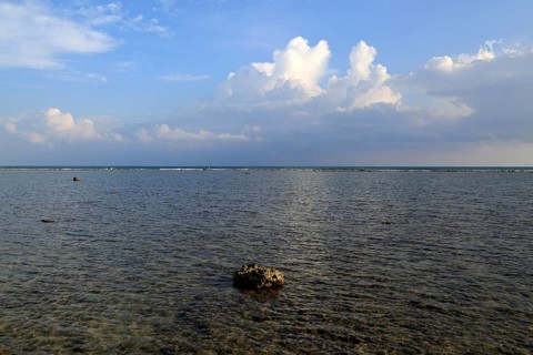 Lump of coral washed up from offshore reef, Pasikudah Bay, Eastern Province, Sri Lanka, Asia