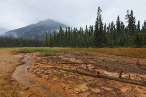 Paint Pots, iron-rich cold mineral springs in the Kootenay National Park, British Columbia, Canada,