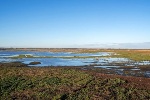 View over salt marsh of the Western Scheldt estuary at nature reserve Verdronken Land van
