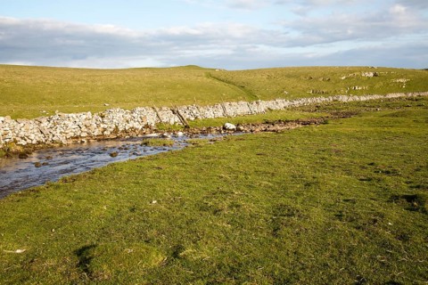 Stream sinking underground in limestone rock, Malham, Yorkshire Dales national park, England, UK