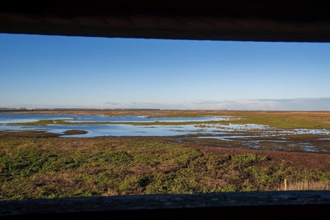 View over salt marsh of the Western Scheldt estuary at nature reserve Verdronken Land van