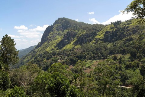 Ella Rock mountain, Ella, Badulla District, Uva Province, Sri Lanka, Asia